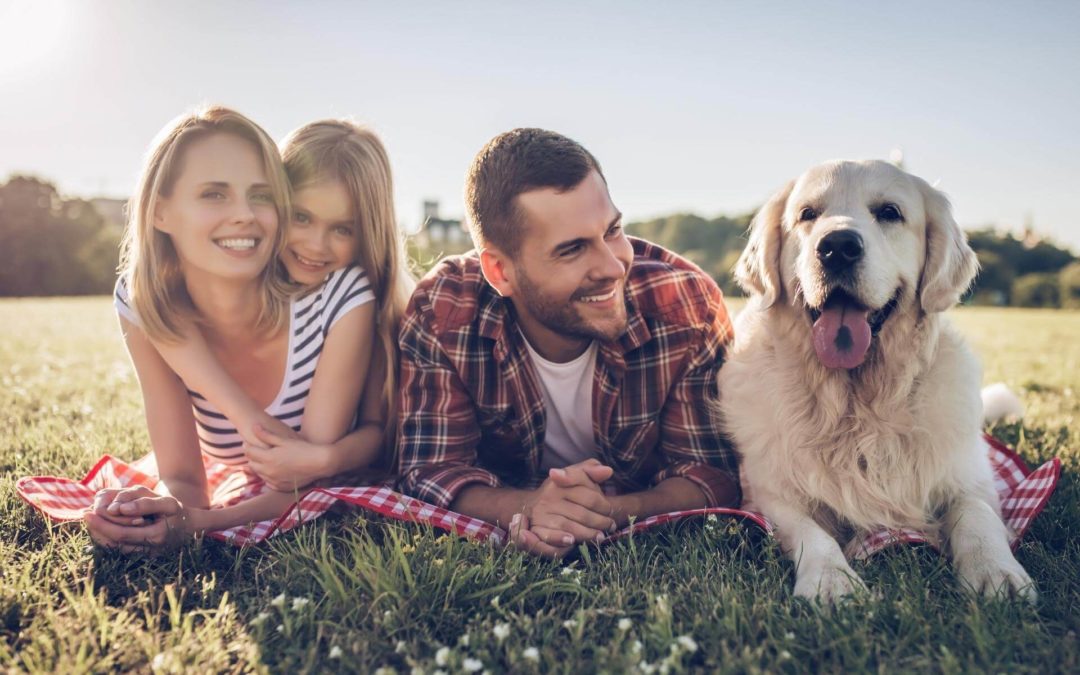 4 Reasons Property Owners Should Allow Tenants With Pets